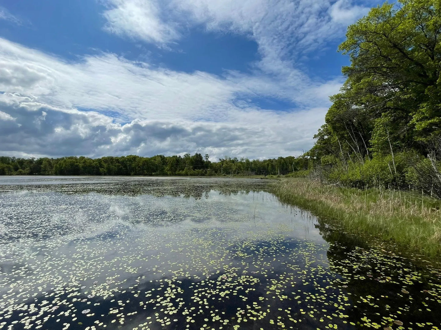 19080 Love Lake Road, Brainerd, MN 56401