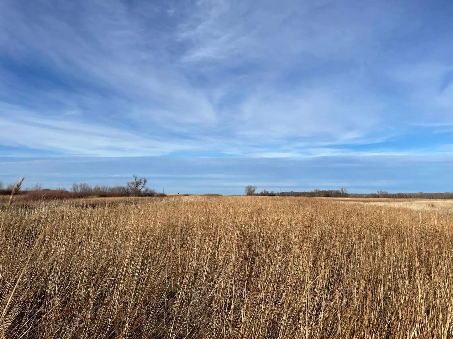 TBD HWY 10 , Bray Twp, MN 56701