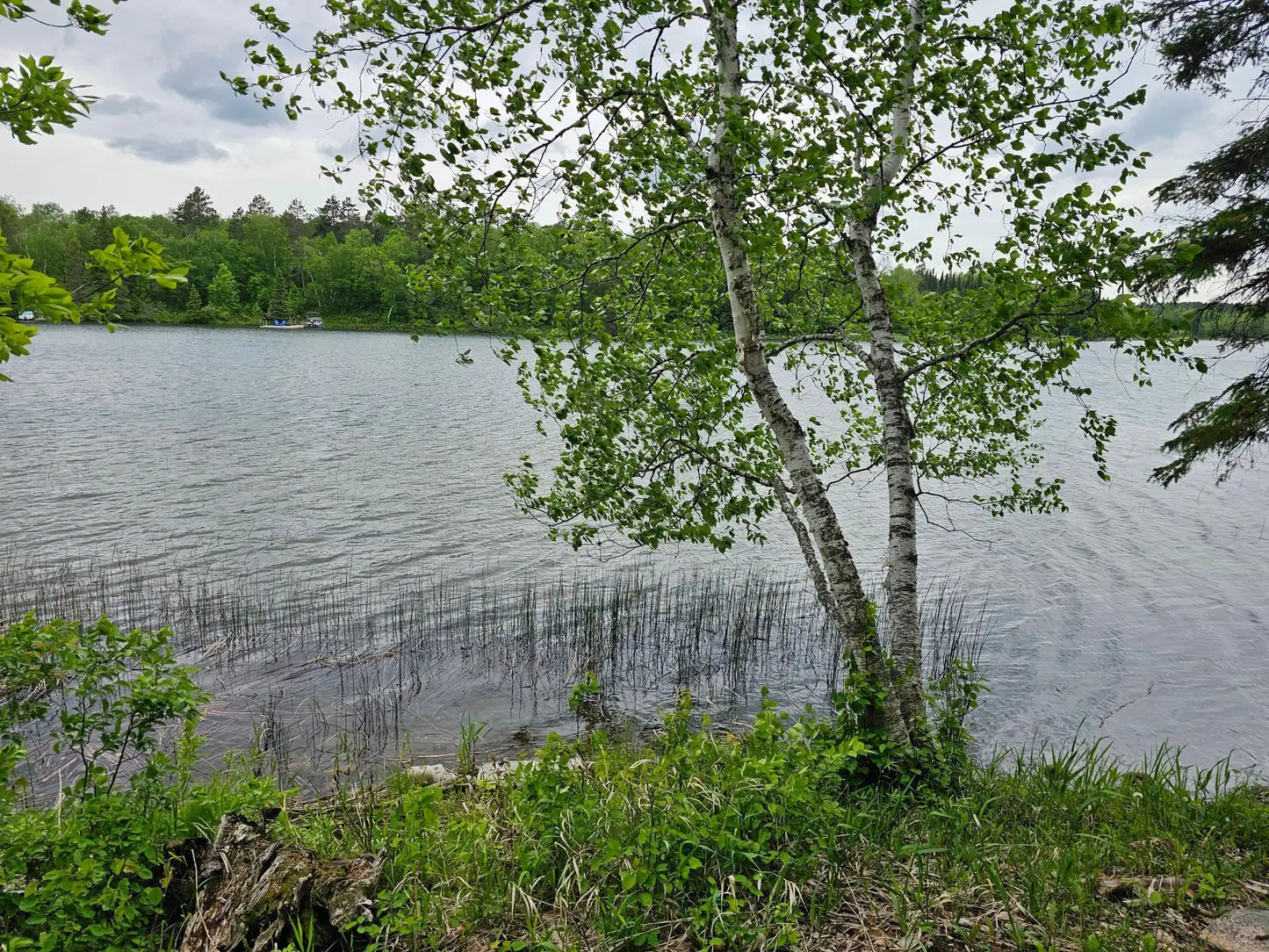 35366 Boot Lake Road, Park Rapids, MN 56470