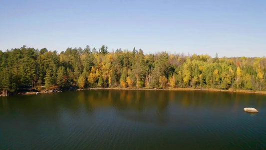 Lot 5 Wakemup Narrows , Beatty Twp, MN 55771