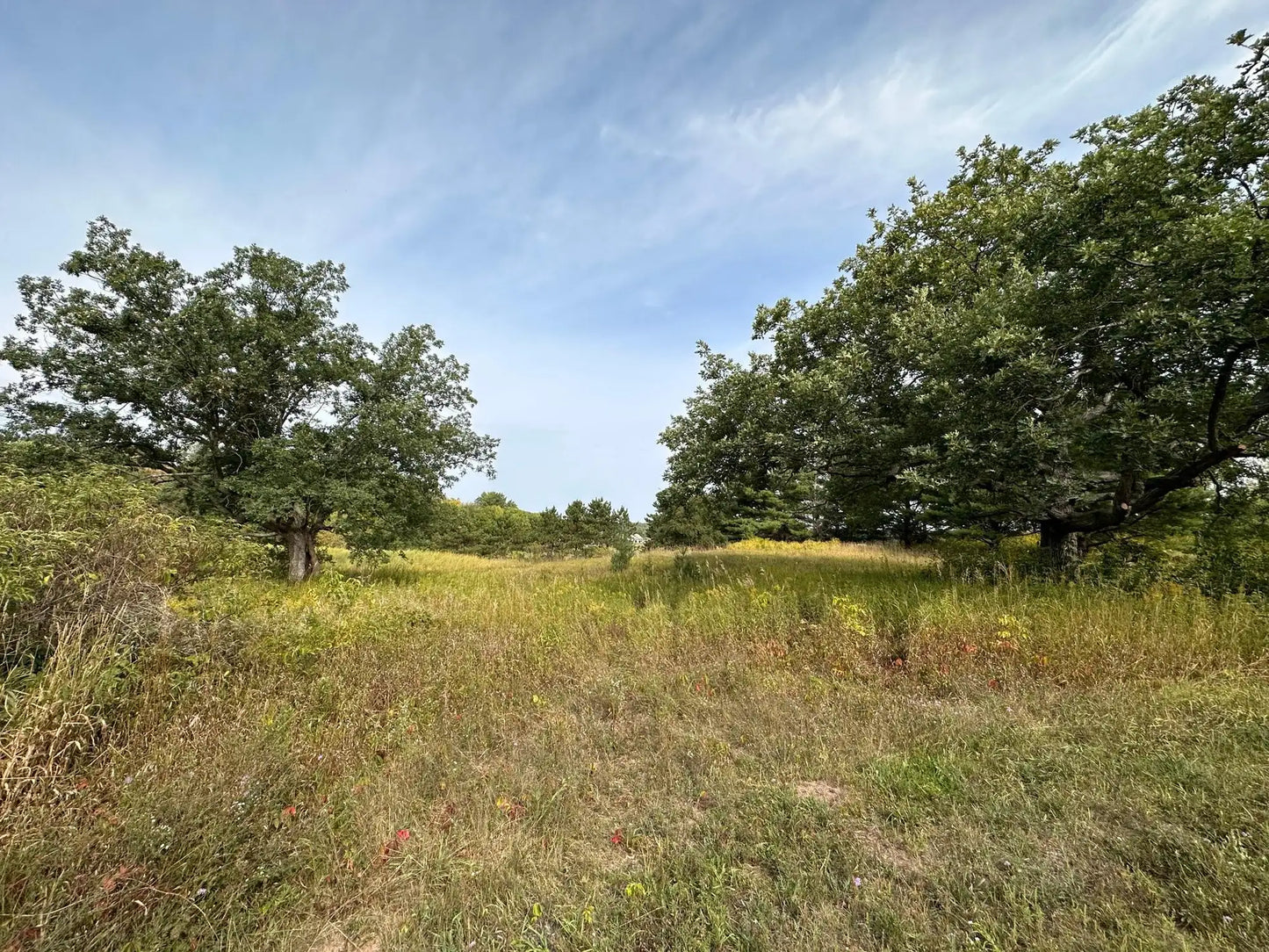 15XXX Oakhill Road, Scandia, MN 55073