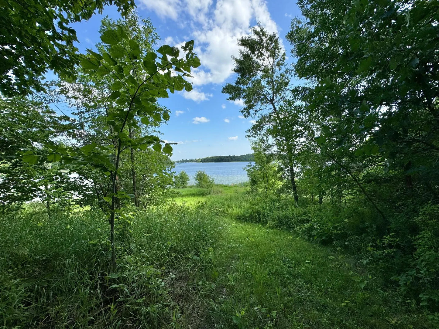 289XX Buffalo Lake Rd D , Callaway, MN 56521