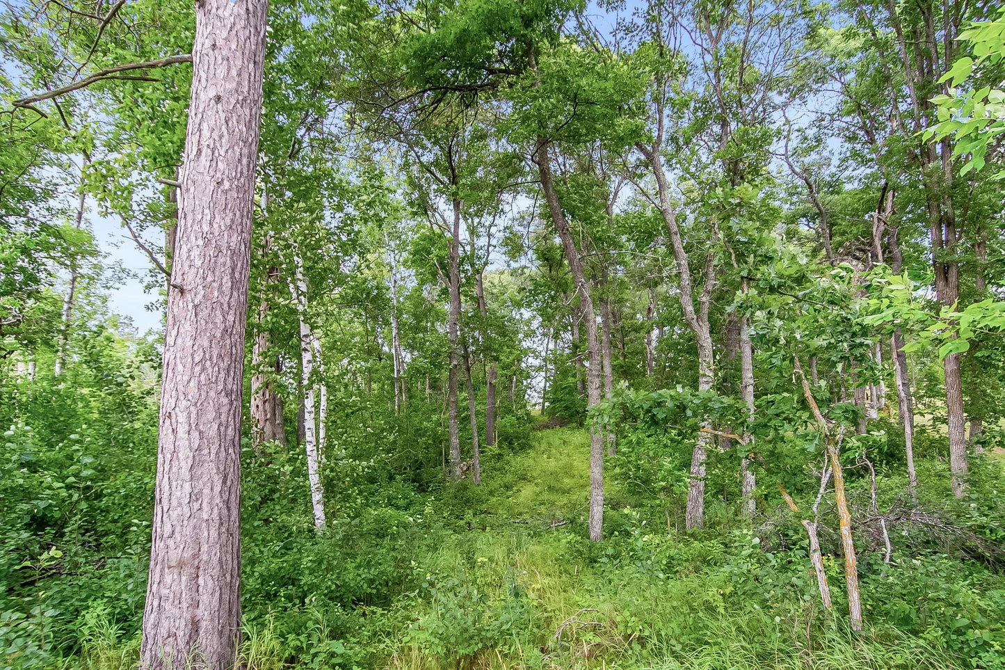 Lot 4 Blk 1 County Road 145 , Pequot Lakes, MN 56472