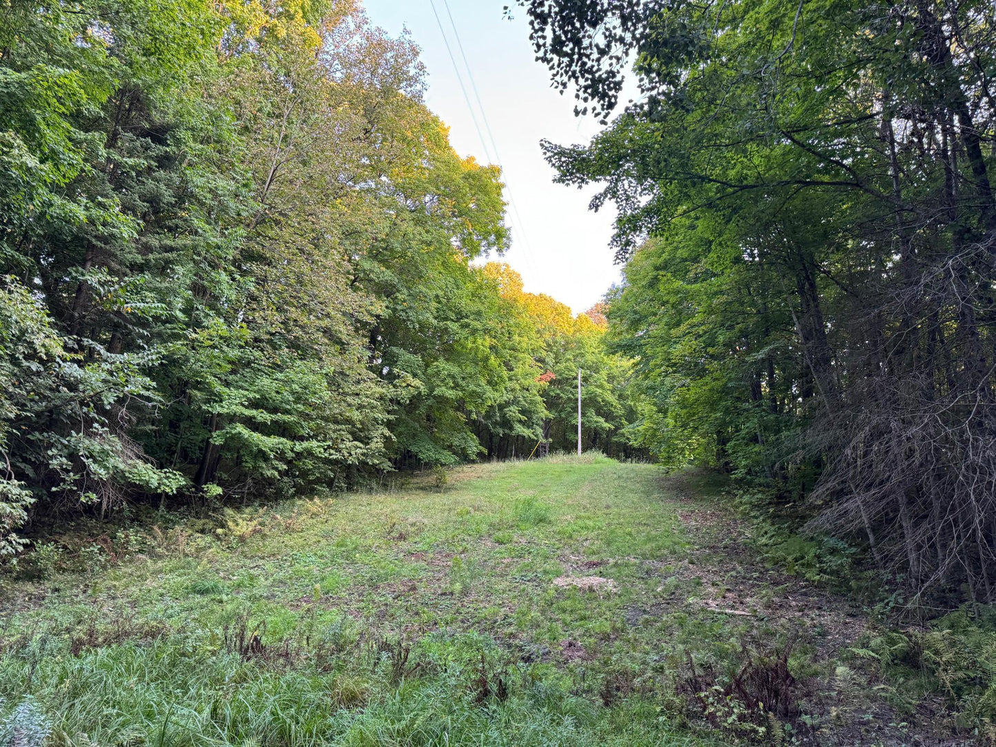 (LOT 2) TBD Rock Lake Road, Rochert, MN 56578