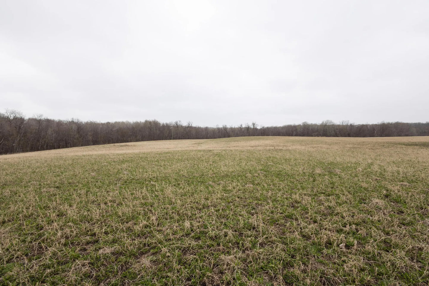 Lot 1 Saylers Beach Road, Lake Park, MN 56554