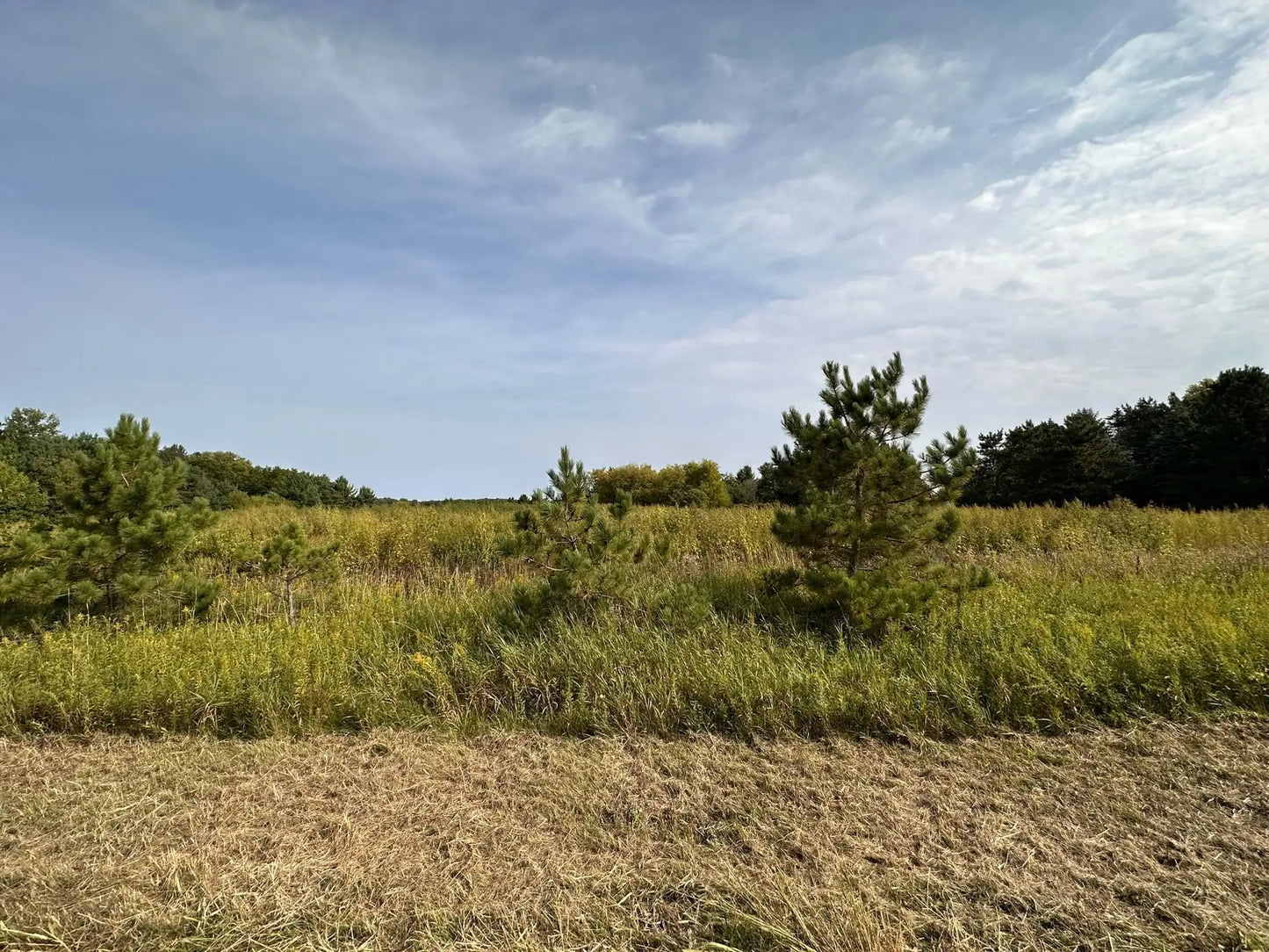 15XXX Oakhill Road, Scandia, MN 55073