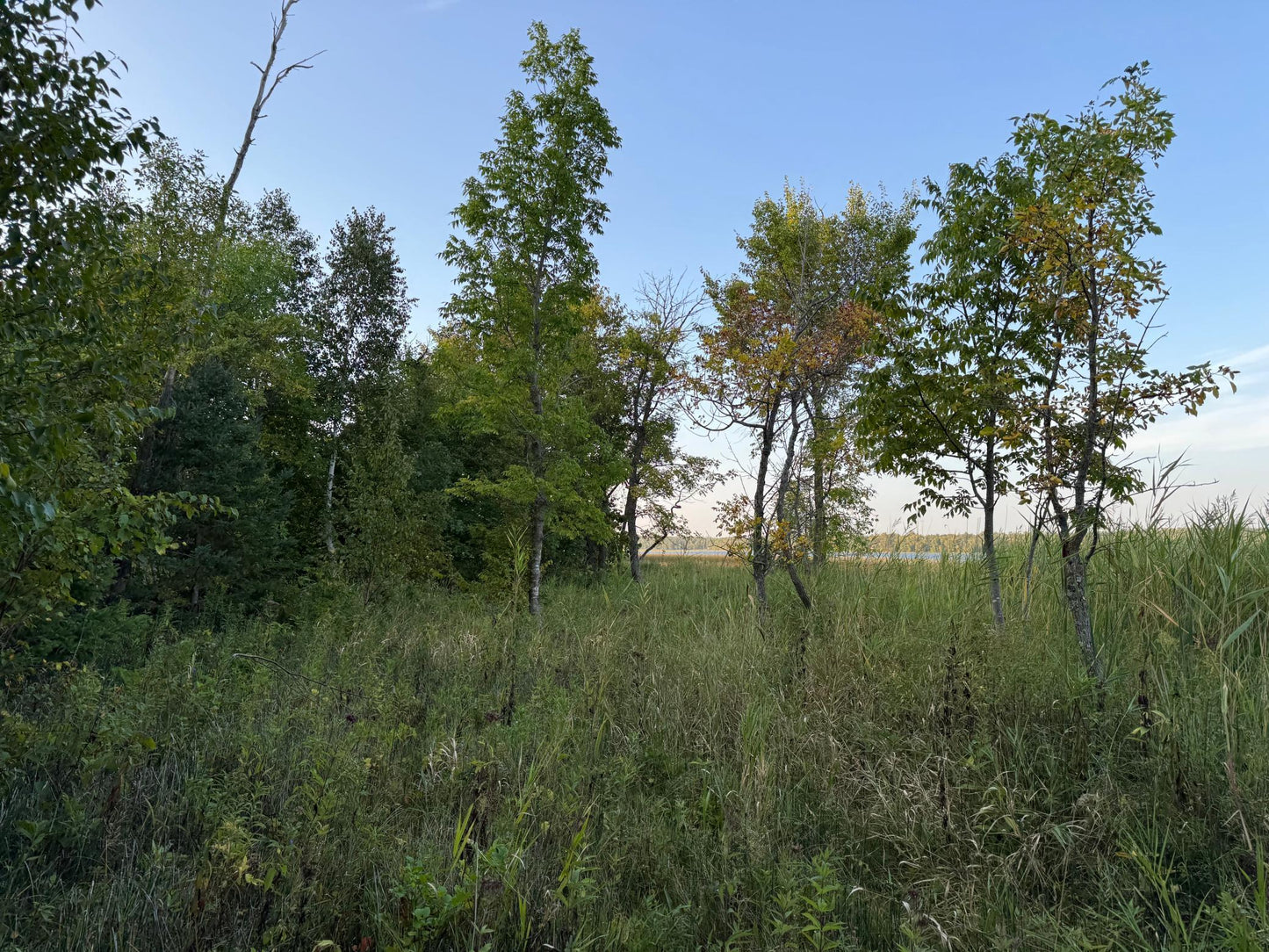 (LOT A) TBD Rock Lake Road, Rochert, MN 56578