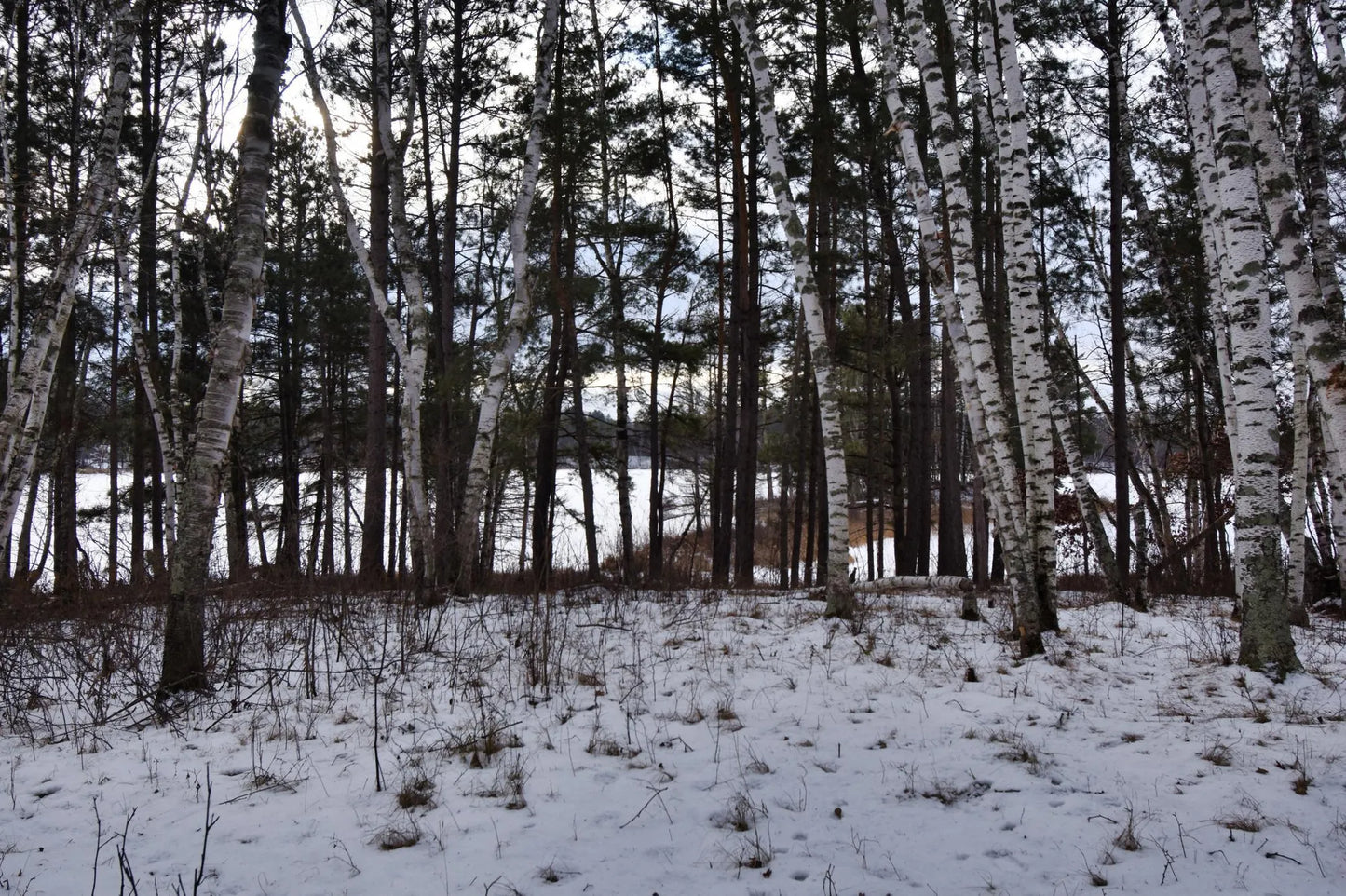 22510 Spider Island, Mantrap Twp, MN 56467