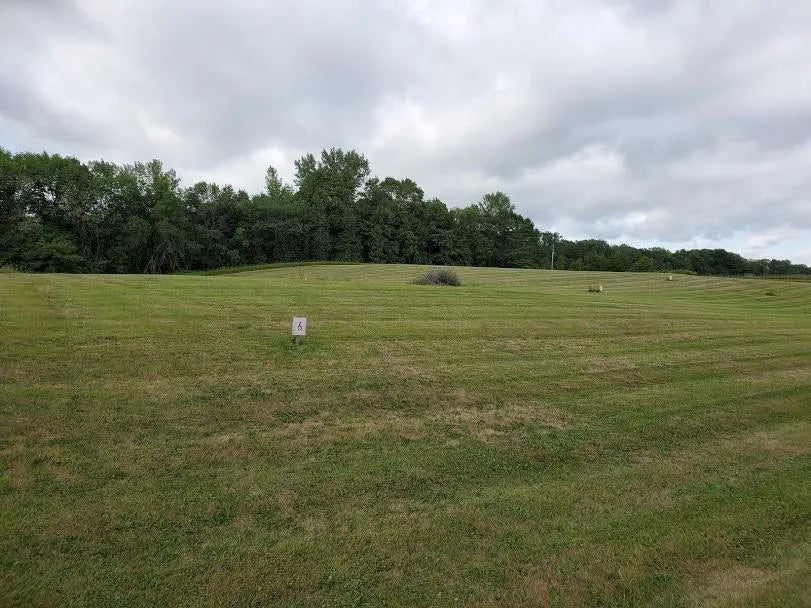 Lot 4 Devils Lake Road, Brandon, MN 56315