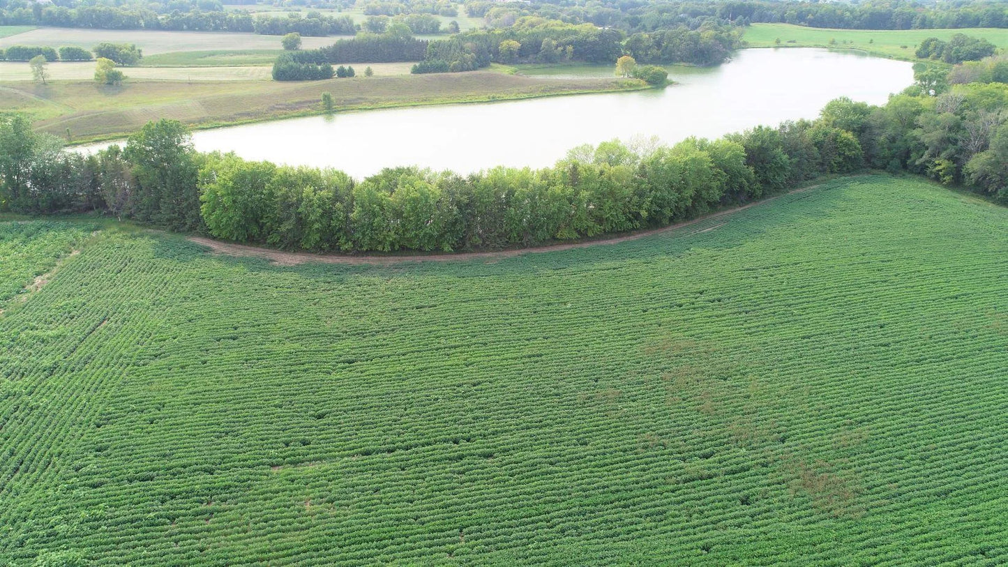 XXXXX Jeffrey Ave N - Parcel B , Hugo, MN 55038