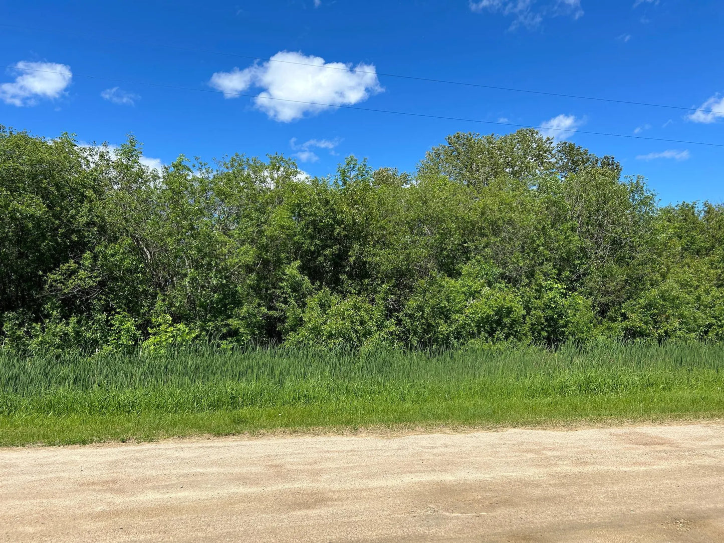 TBD Graceton Beach Road, Williams, MN 56686