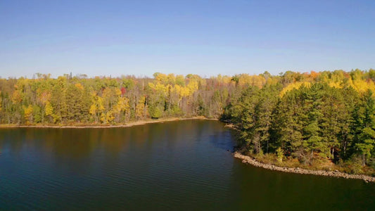 Lot 6 Wakemup Narrows , Beatty Twp, MN 55771