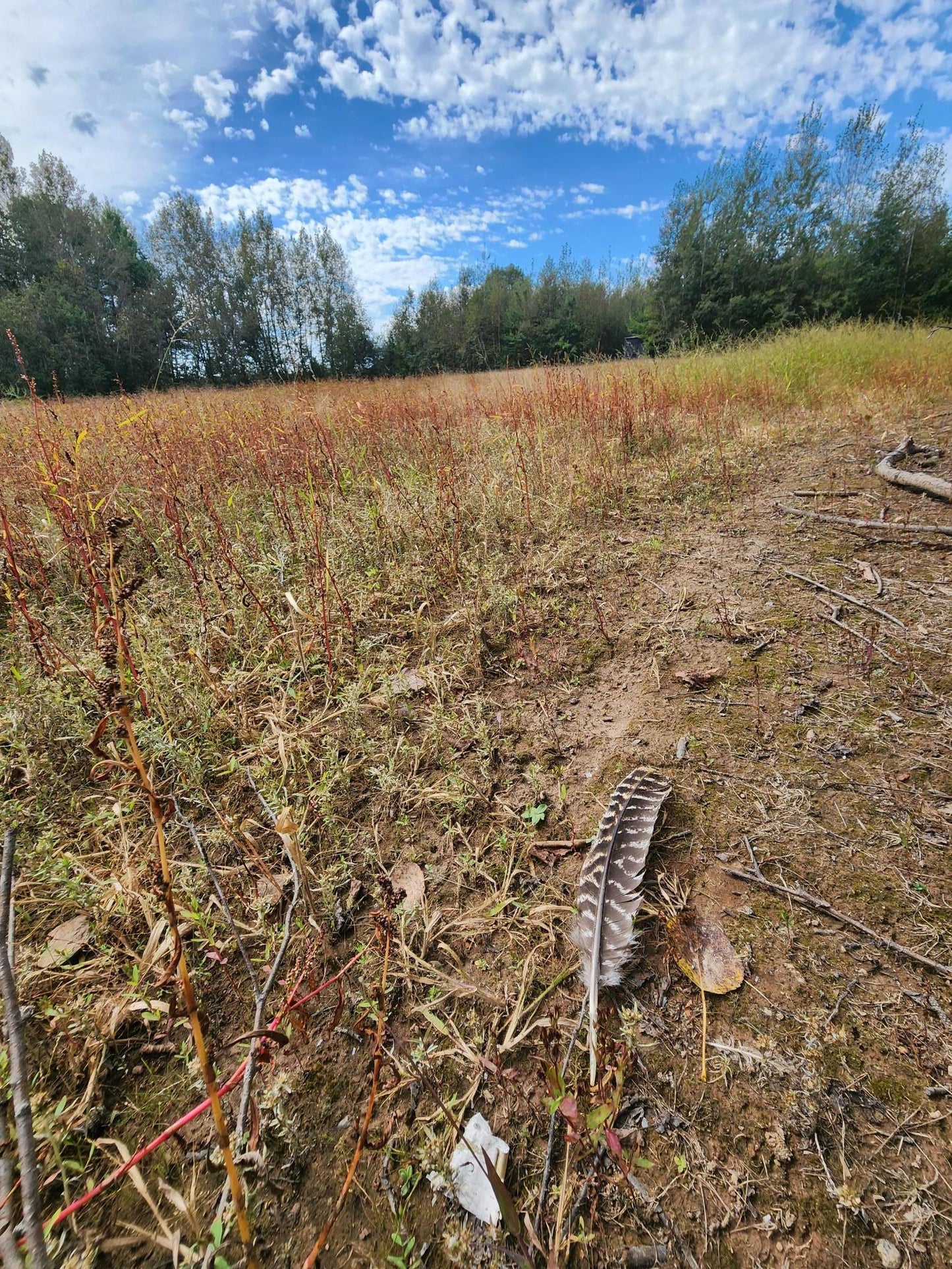 000 Bitternut Lane, Hinckley, MN 55037