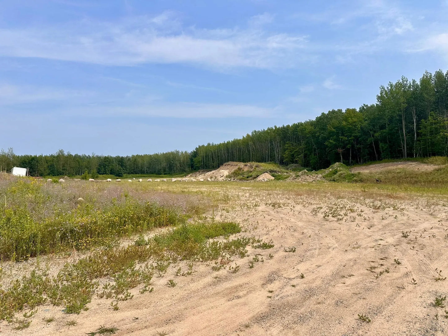 TBD-Lot 8 Ottertail Road, Walker, MN 56484