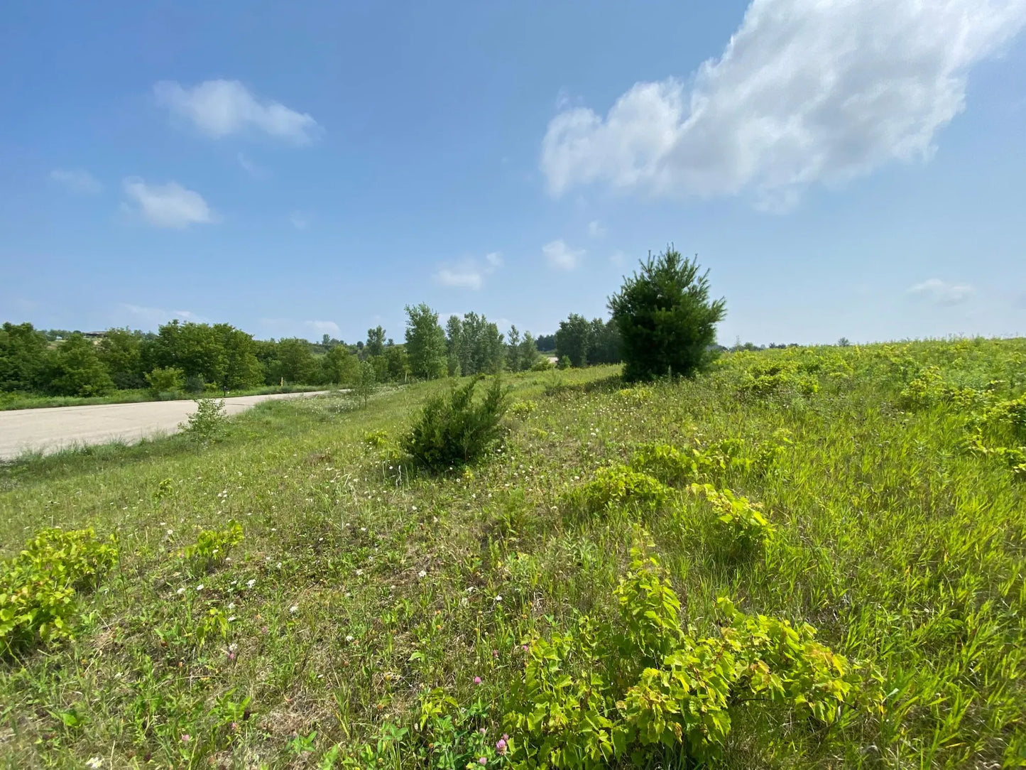 tbd 712th Street, Lake City, MN 55041