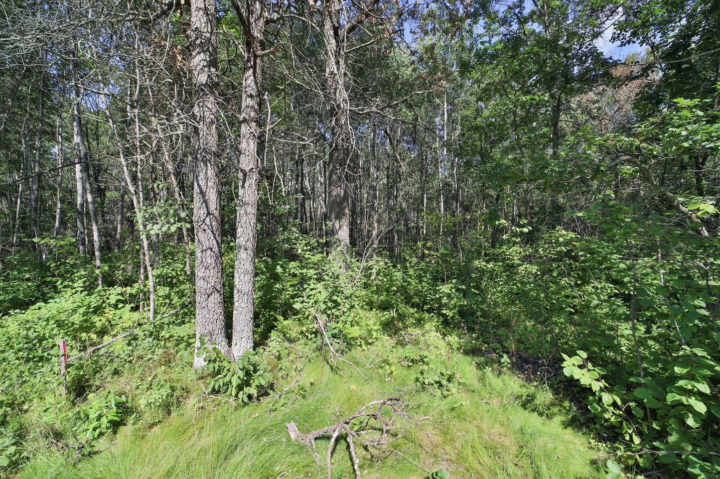 5.02 AC HWY 371 , Pine River, MN 56472