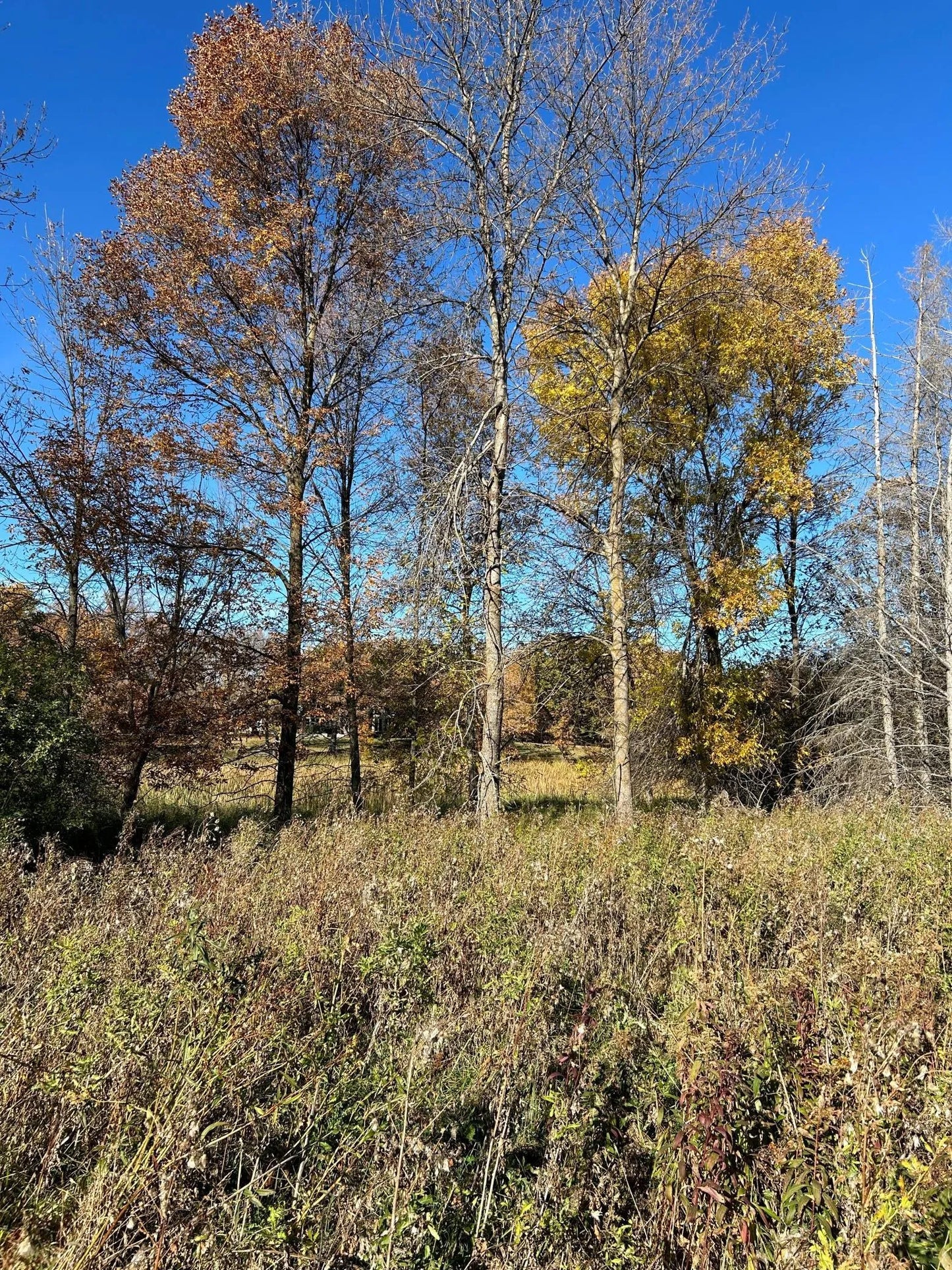 TBD Riverbend Drive, Warroad, MN 56763