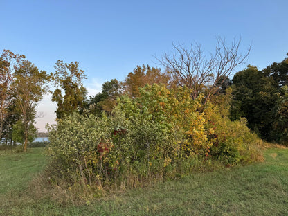 (LOT D) TBD Rock Lake Road, Rochert, MN 56578