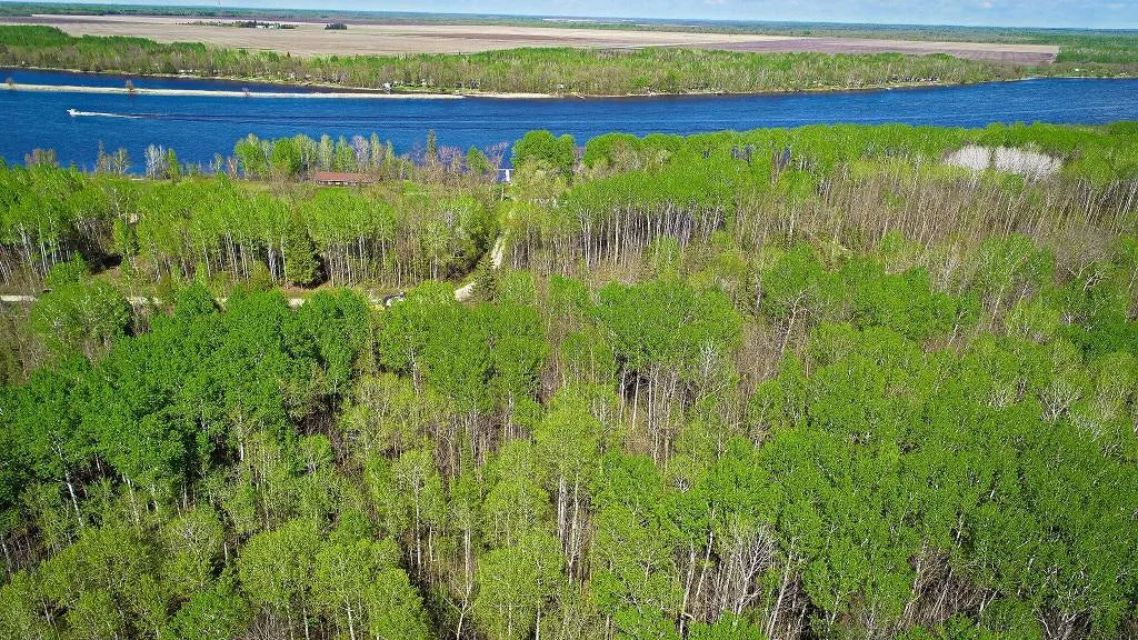 Lot 7 - TBD Driftwood Lane, Baudette, MN 56623