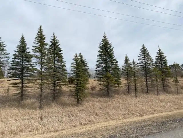 xxx2 CSAH 39 , Monticello Twp, MN 55362