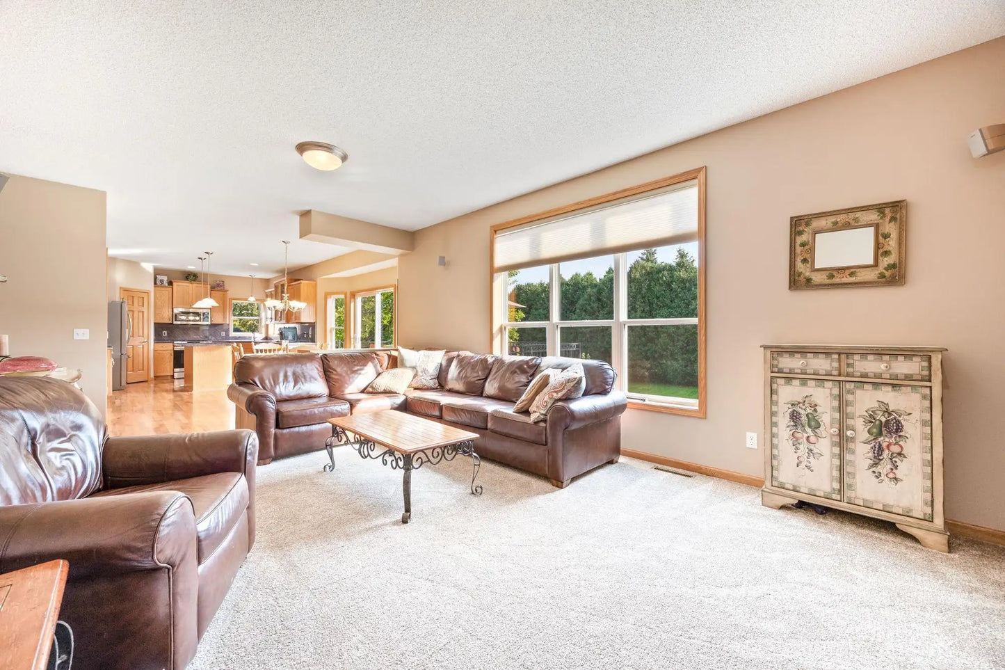 1233 Windmill Creek, Waconia, MN 55387