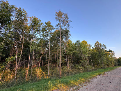 (LOT B) TBD Rock Lake Road, Rochert, MN 56578