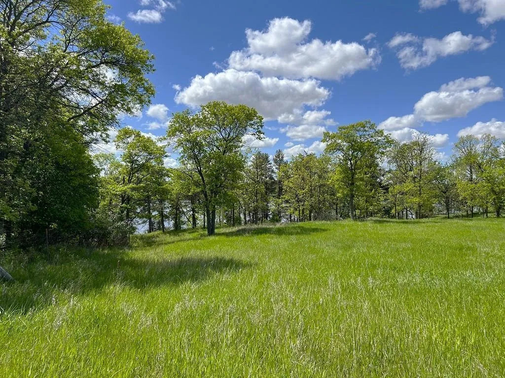 16051 Crown Point Rd , Nevis, MN 56467