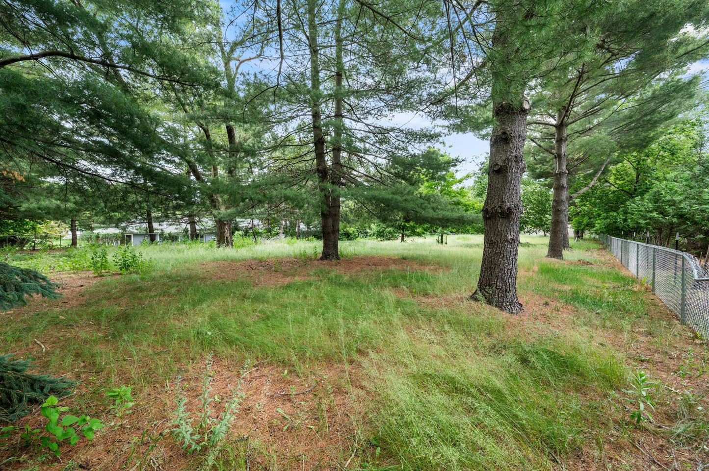 xxx Buffalo Lane, Shoreview, MN 55126