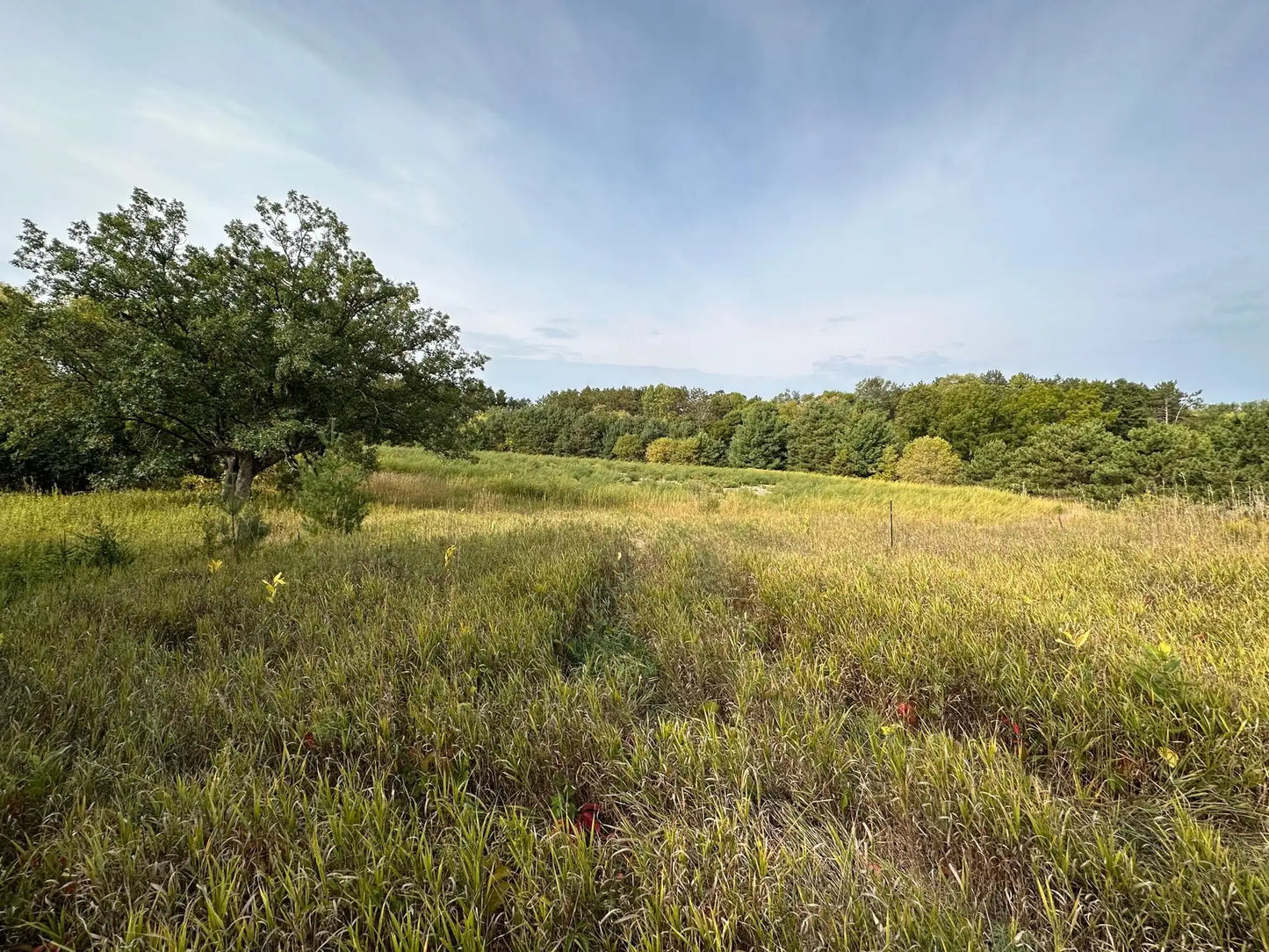 15XXX Oakhill Road, Scandia, MN 55073