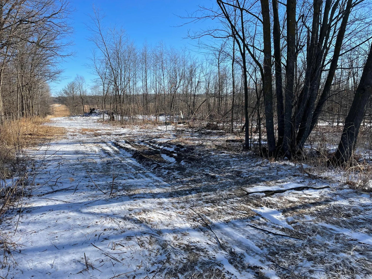 1XXX Highway 27 , Culdrum Twp, MN 56382