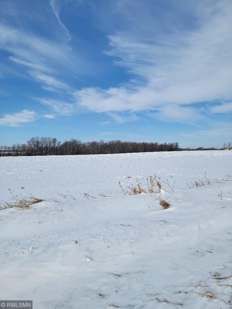 XXX County Rd 82 , Wykeham Twp, MN 56446