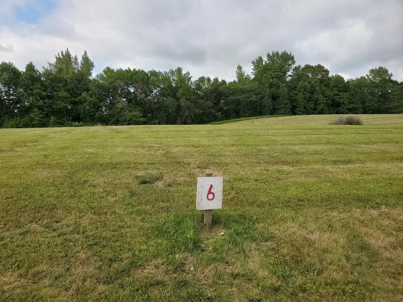 Lot 4 Devils Lake Road, Brandon, MN 56315