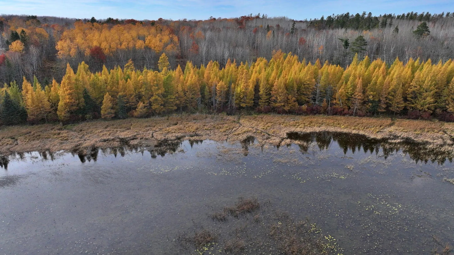 TBD New Paradise Point Drive - Lot 8 , Lake George, MN 56458