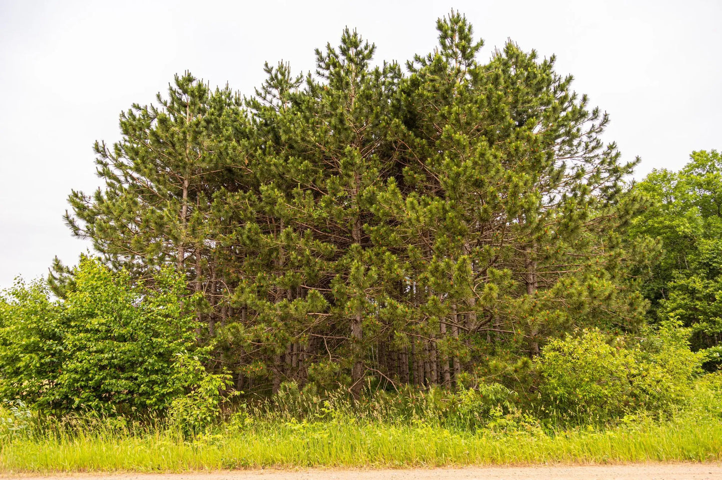 Block 1, Lot 2 Mid-River Estates, Pokegama Twp, MN 55063