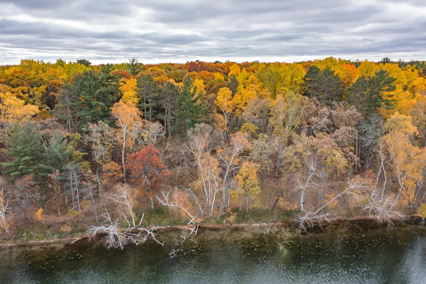 TBD Strawberry Lake Road, Pequot Lakes, MN 56472