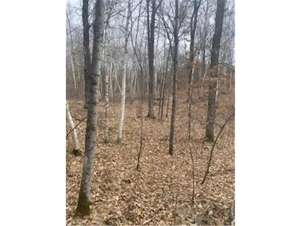 LOT 5 Fawn Lake Road, Breezy Point, MN 56442