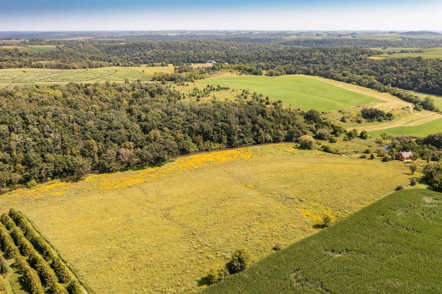 TBD County 8 , Spring Grove Twp, MN 55954