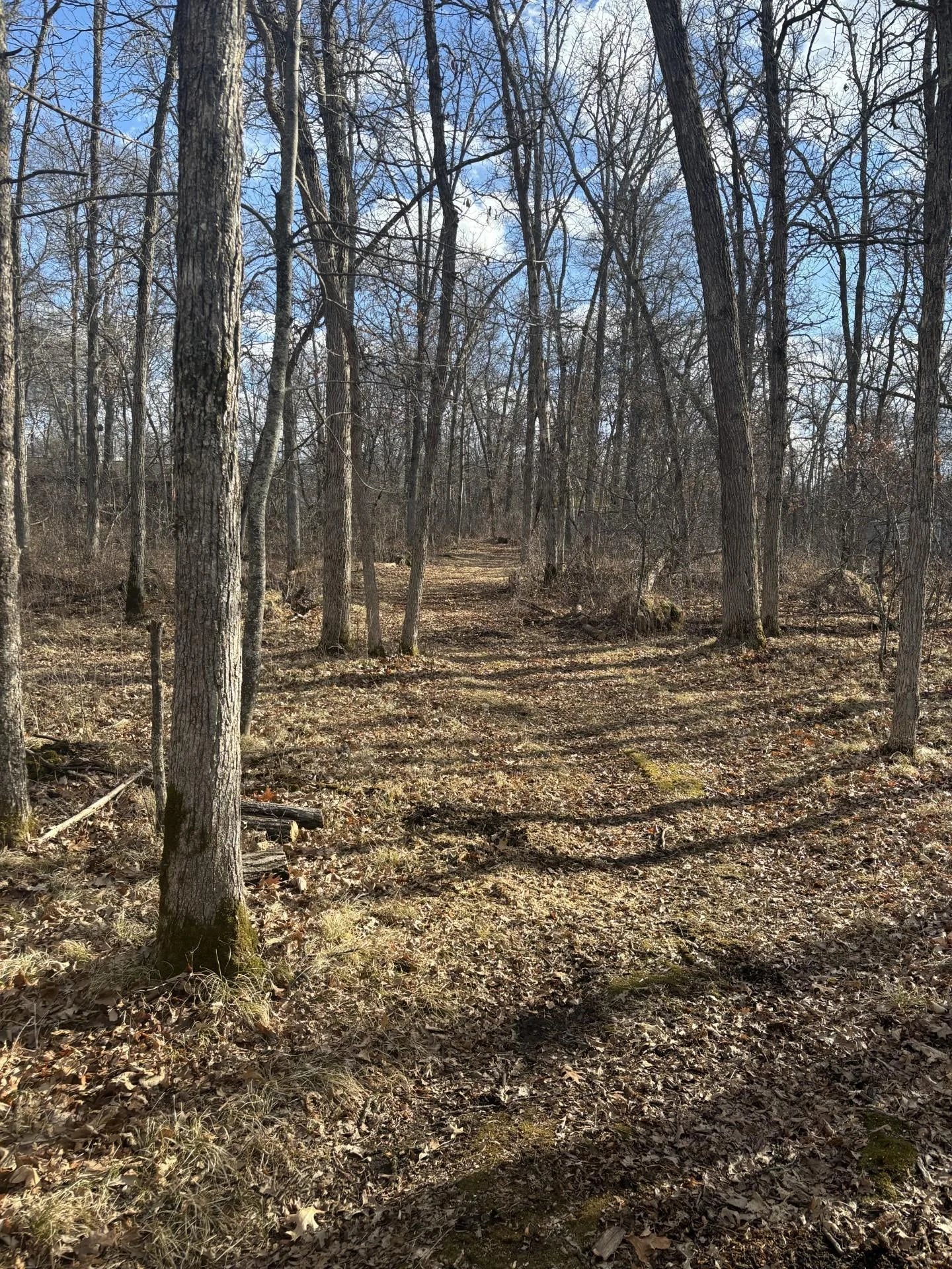 12612 County Rd 103 Road, Crosslake, MN 56442