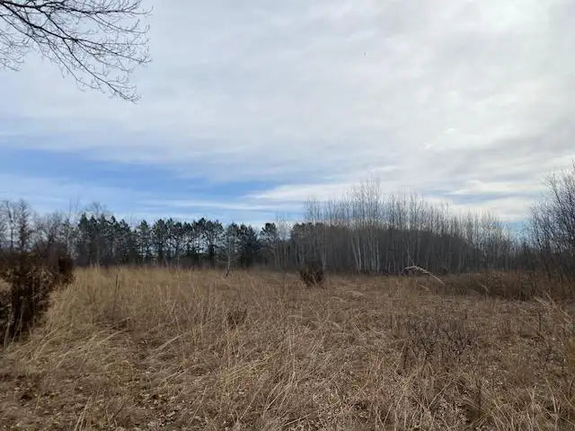 xxx2 CSAH 39 , Monticello Twp, MN 55362