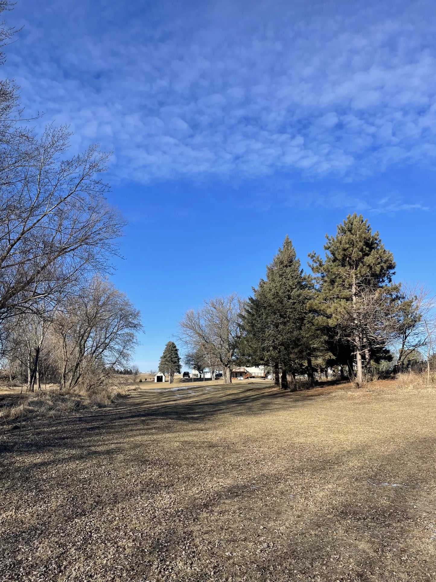 29369 County Road 25 , Elgin, MN 55932