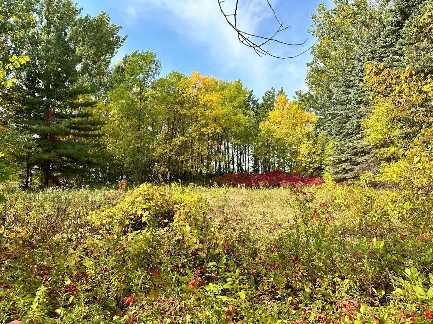 TBD Wild Rose Trail , Frazee, MN 56544