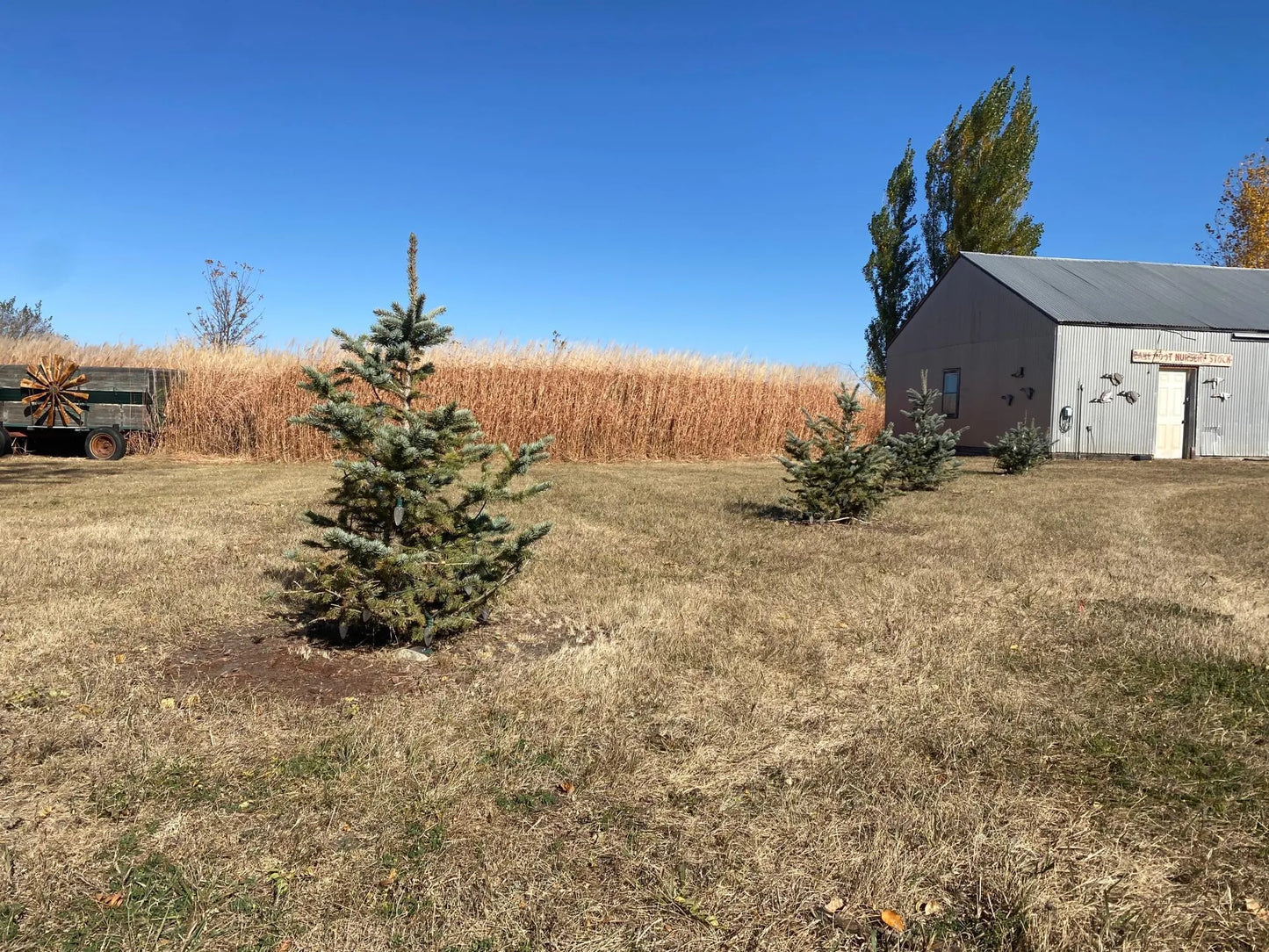 23296 US Highway 59 , Worthington, MN 56187