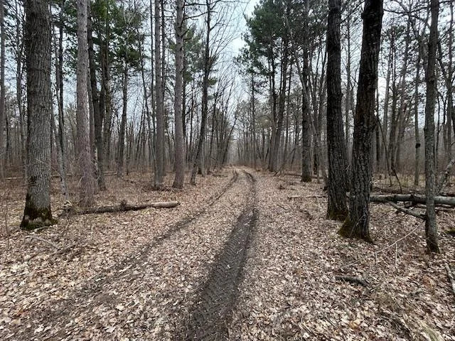 XXX Oak Point Road, Cass Lake, MN 56633