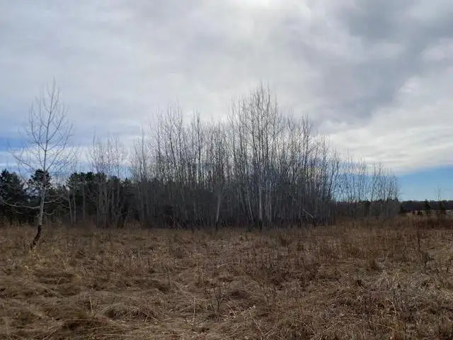 xxx2 CSAH 39 , Monticello Twp, MN 55362