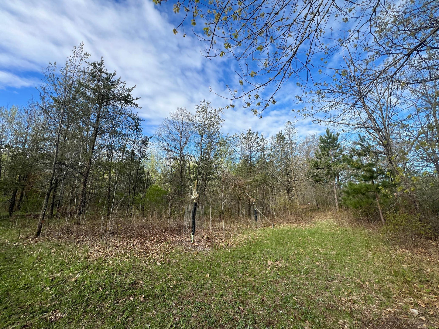 XXX Agate Drive, Pine City, MN 55063