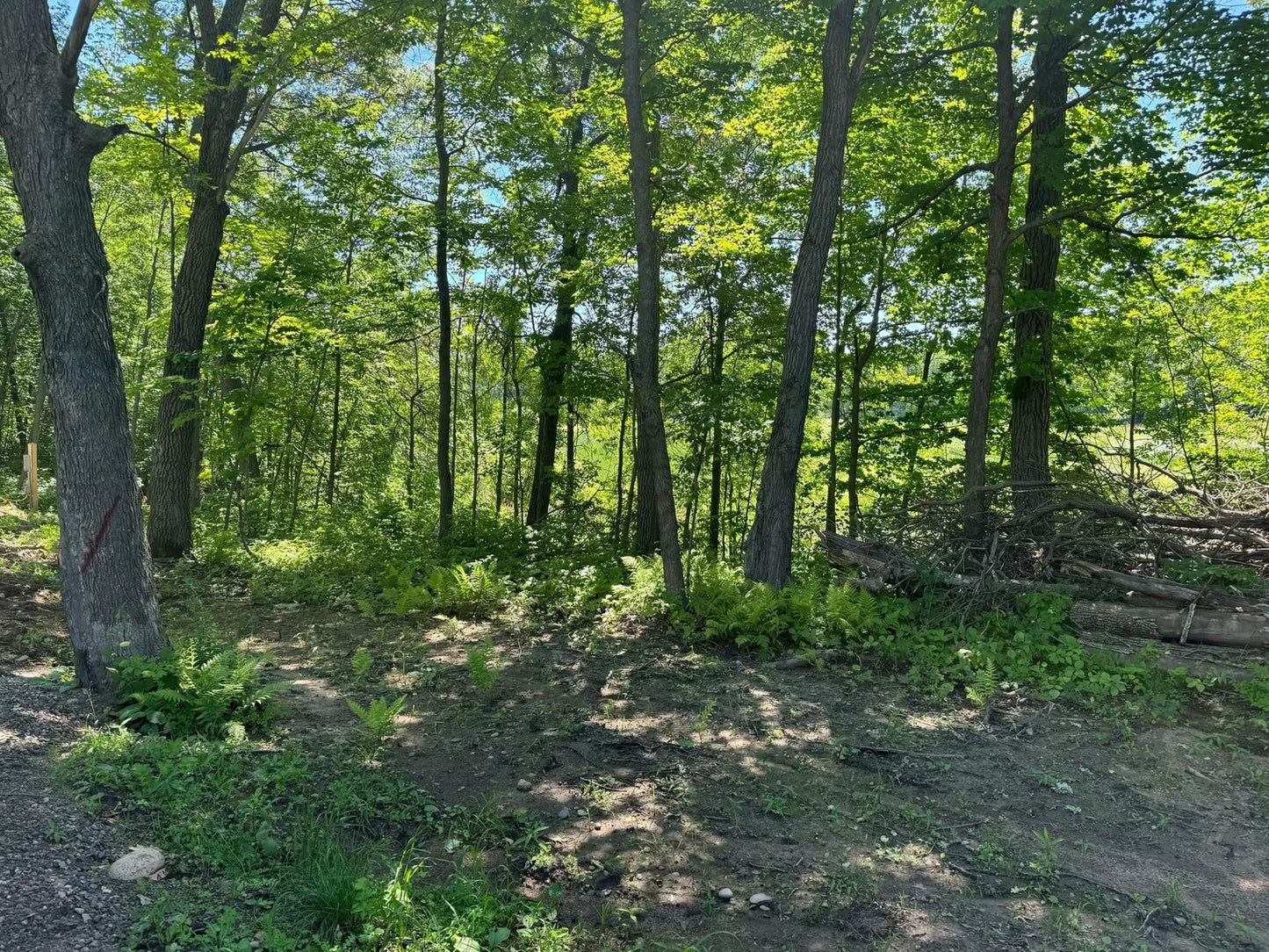 Lot 7+8 Baffie Bend , Onamia, MN 56450