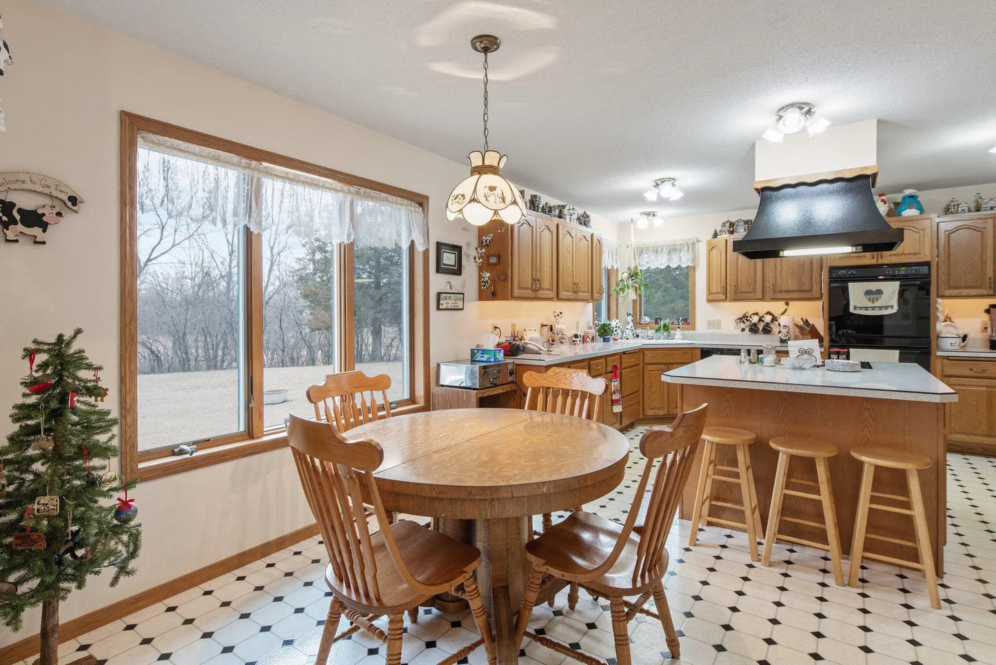 23600 Alray Drive, Lime Twp, MN 56001