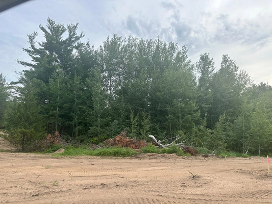 Lot 11 Blk 1 Brummer Drive, Randall, MN 56475