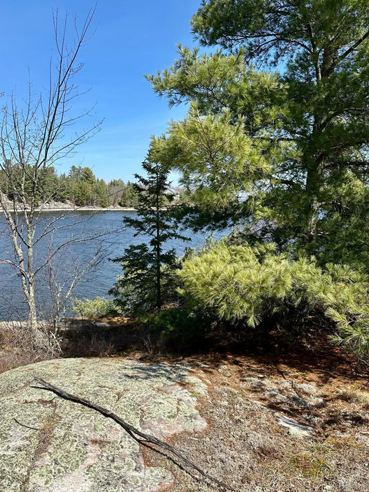 TBD Kabetogama Lake , Kabetogama Twp, MN 56669