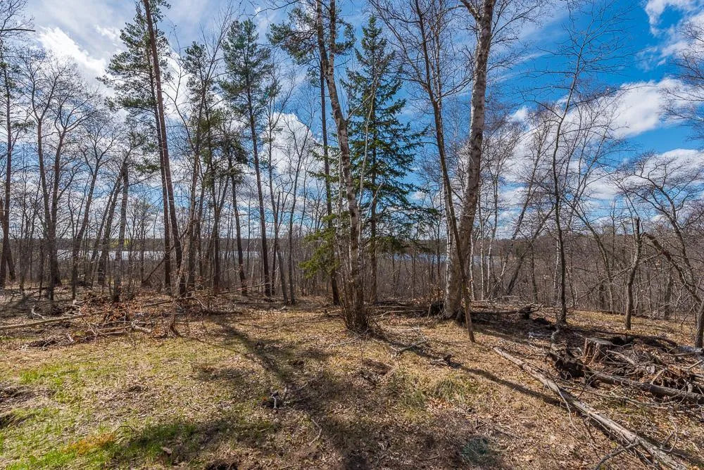 TBD - Lot 4 Hurtig Road , Pequot Lakes, MN 56472